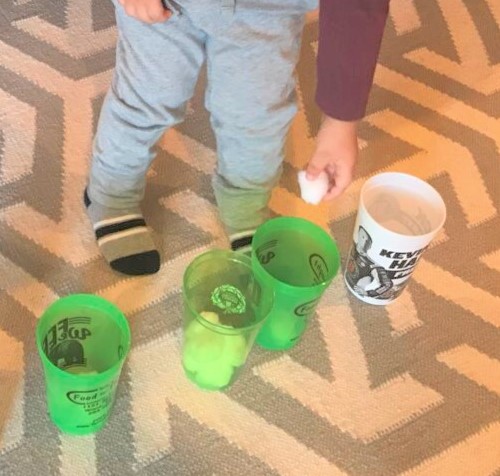 IMG_2921 cropped small